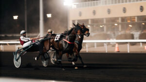 Outils Interactifs pour les Courses Hippiques : Simulateurs de Mises et Calculateur de Gains pour Optimiser vos Pronostics
