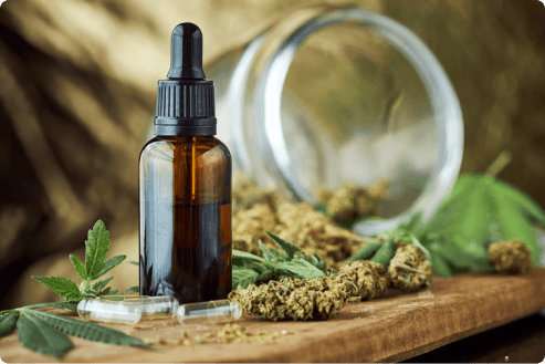 The Rise of MMJ: Natural Healing and Wellness Through Cannabis
